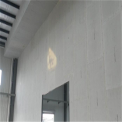 黄岩宁波ALC板|EPS加气板隔墙与混凝土整浇联接的实验研讨